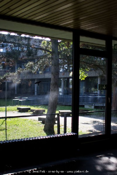 2017 09 03 Alma Mater 09