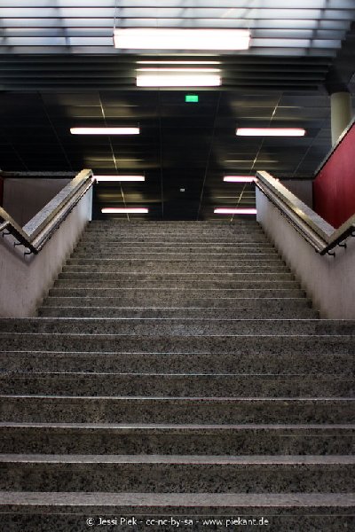 2017 09 03 Alma Mater 17