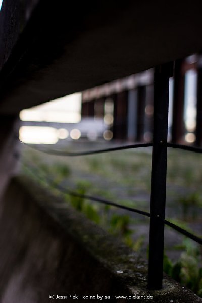 2017 09 03 Alma Mater 29