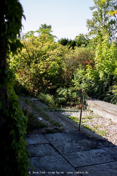 2017 09 03 Alma Mater 34