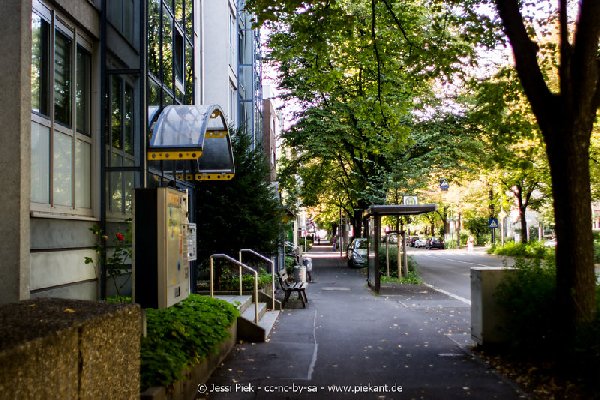 2017 09 03 Alma Mater 38