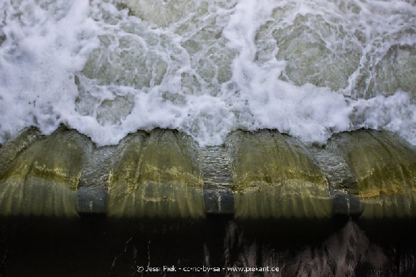 2017 09 03 Alma Mater 48