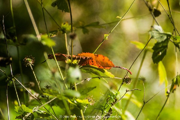 2017 09 22 Wildpark 49