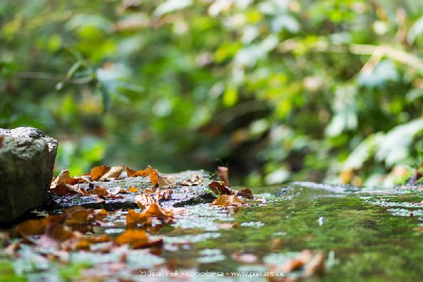 2017 09 30 Ob der Tauber 17