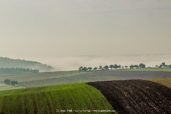 2017 09 30 Ob der Tauber 20
