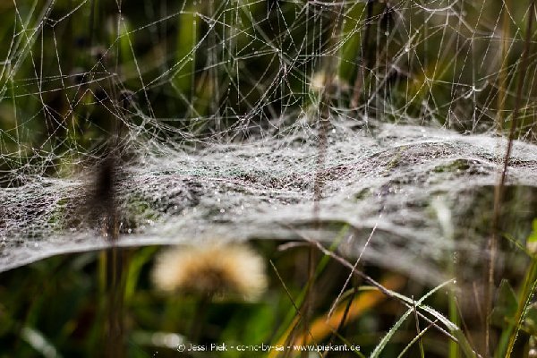 2017 09 30 Ob der Tauber 30