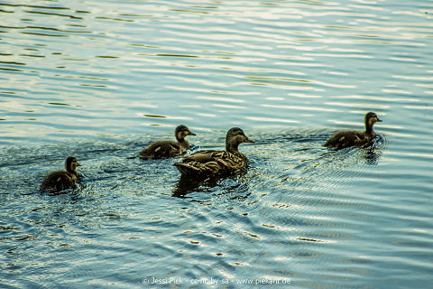 201608067 Leading Lines Lead the way06p