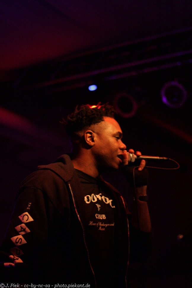 20121119 Fishbone low 17