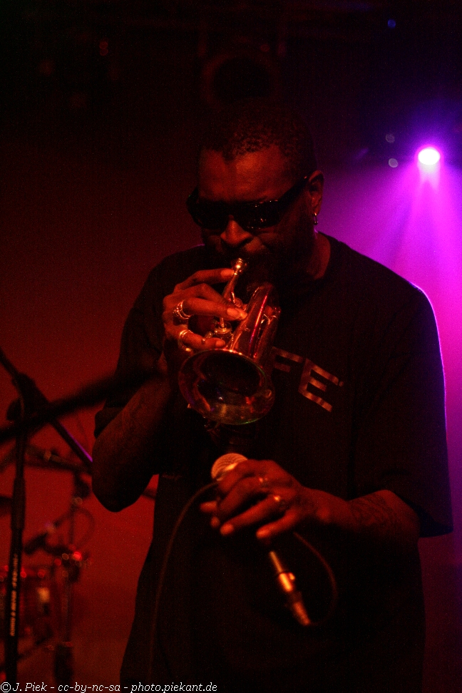 20121119 Fishbone low 32