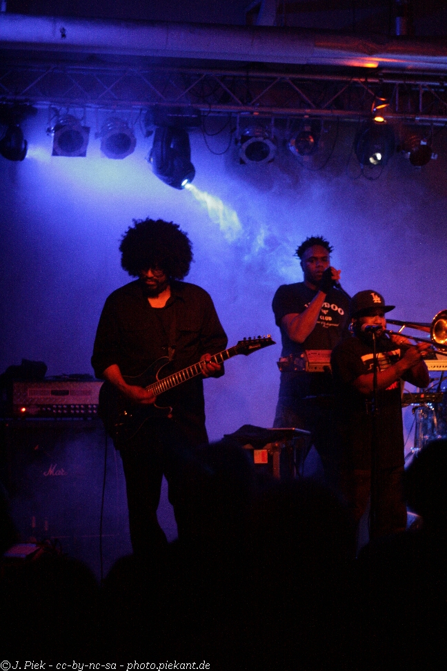 20121119 Fishbone low 40