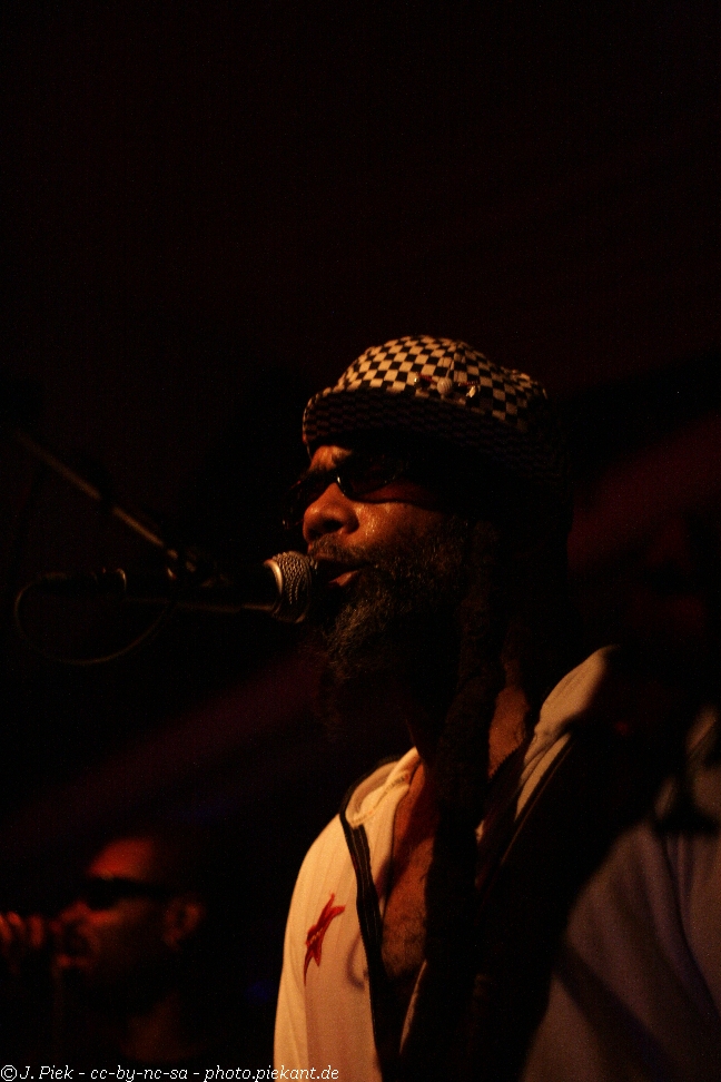 20121119 Fishbone low 52