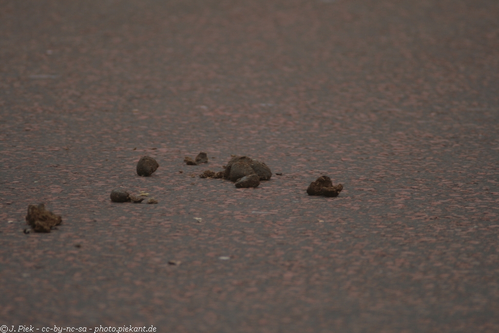 20120827 London Day2 low 39