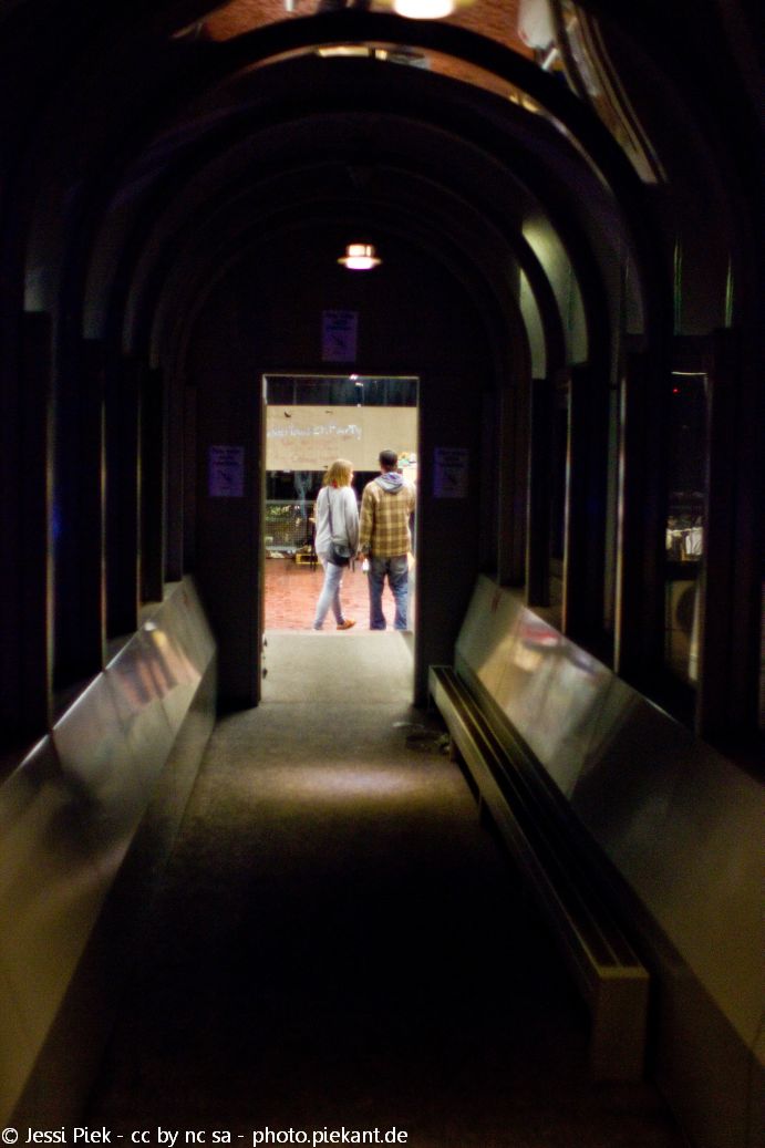 2013 10 18 PengFestival low 01