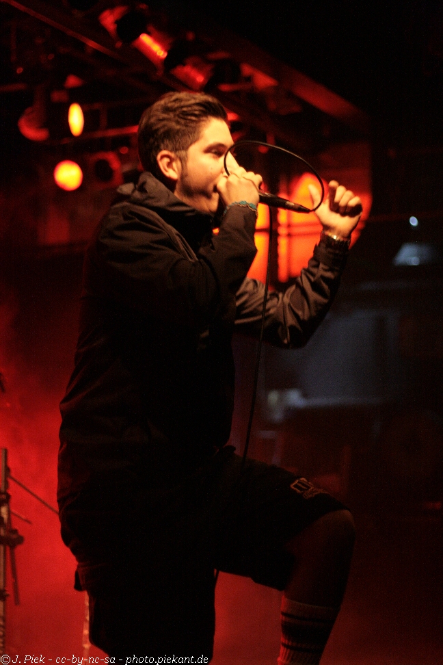 2013 01 12 ToysgetlostMunich low 06