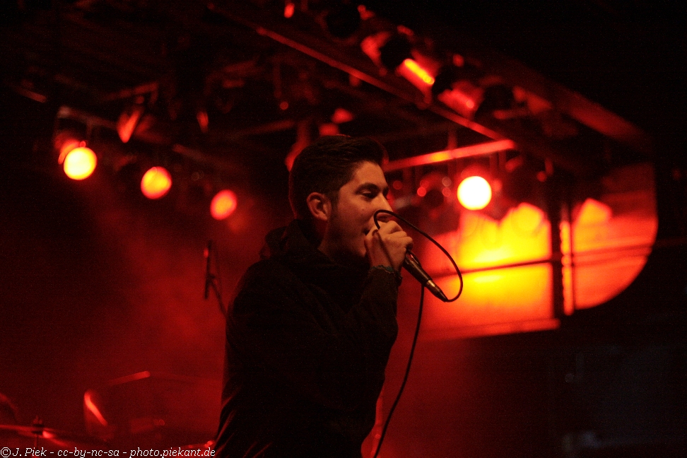 2013 01 12 ToysgetlostMunich low 14