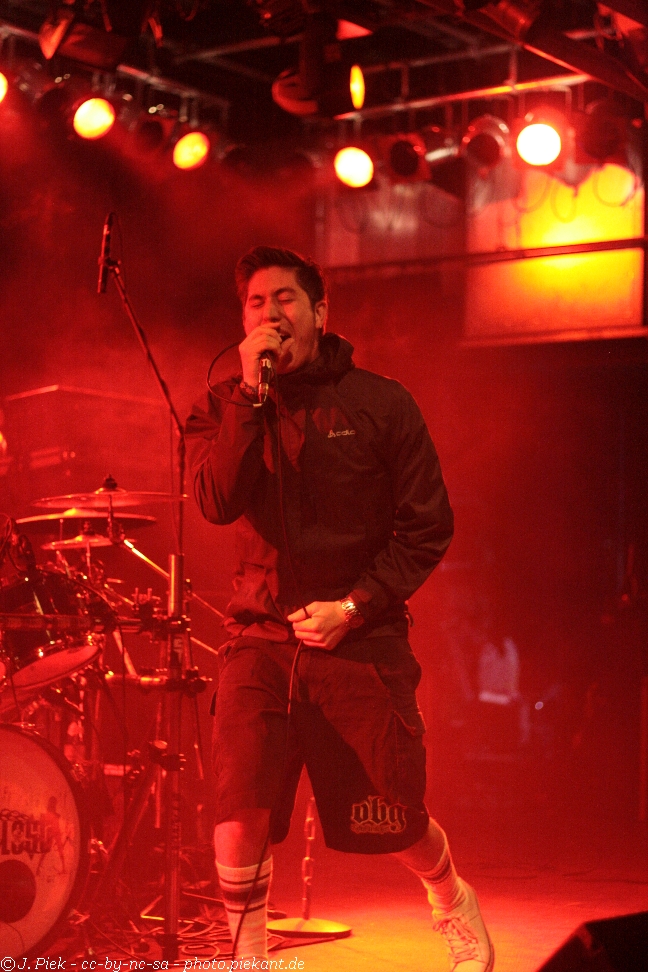 2013 01 12 ToysgetlostMunich low 16